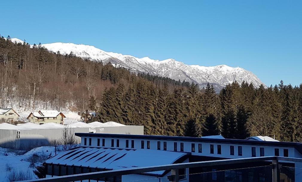 Studio Mountain View Sinaia Exterior photo