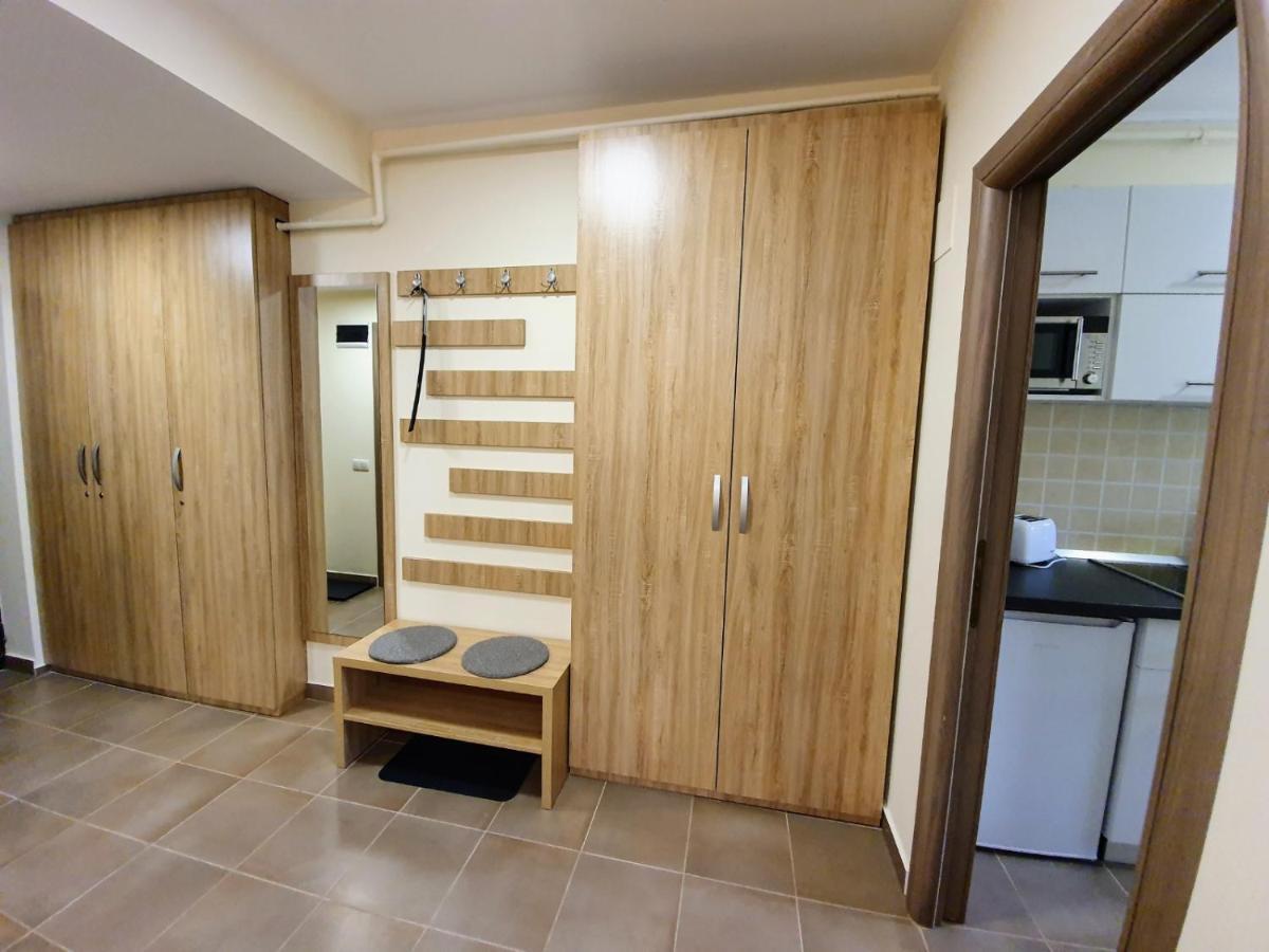 Studio Mountain View Sinaia Exterior photo